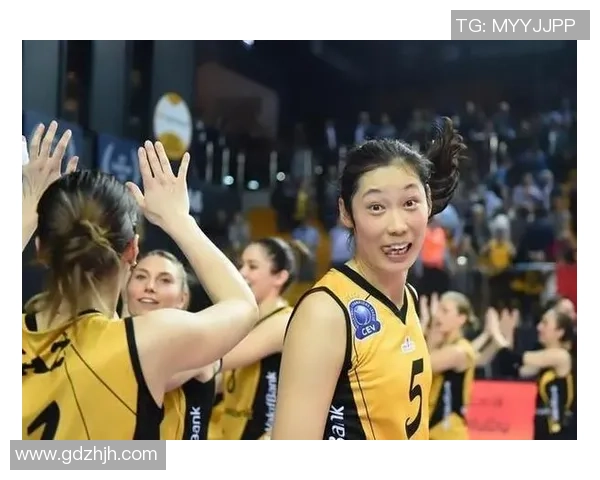 专访张伟：探寻排球背后的成功秘诀与奋斗历程