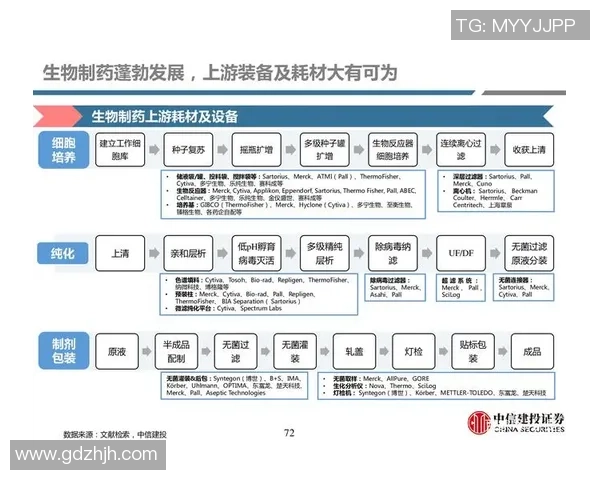 深圳足球队与西安足球队赛后复盘分析意识与战术的深度探讨 深圳足球队与西安足球队赛后复盘分析意识与战术的深度探讨