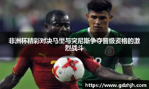 非洲杯精彩对决马里与突尼斯争夺晋级资格的激烈战斗