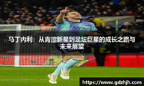 马丁内利：从青涩新星到足坛巨星的成长之路与未来展望